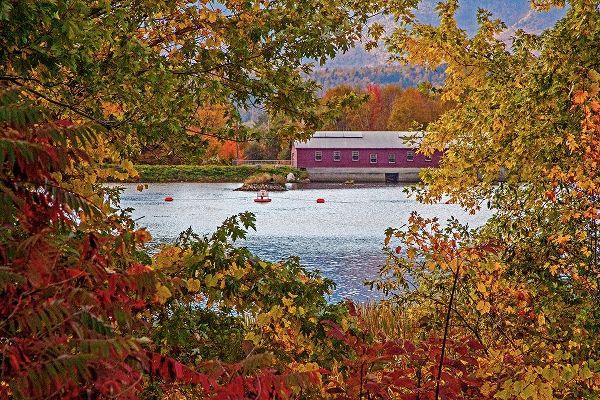 Gulin, Sylvia 아티스트의 USA-New Hampshire-Gorham-Fall colored trees framing Androscoggin River near damn site작품입니다.